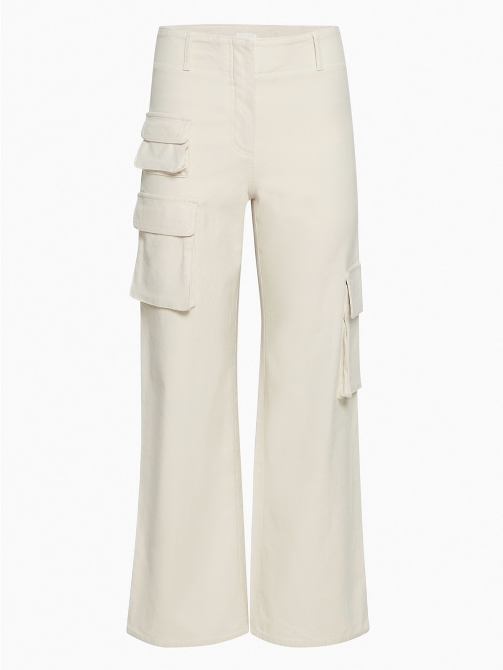 Aritzia Picture Cargo Pant